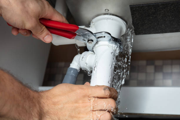 Best Ceiling water damage repair  in West Modesto, CA