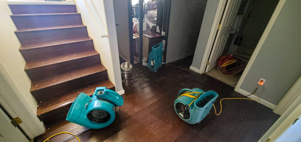 Best Flood restoration services  in West Modesto, CA
