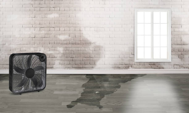 Best 24/7 water damage repair  in West Modesto, CA