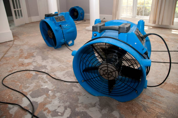 Reliable West Modesto, CA Water damage restoration Solutions