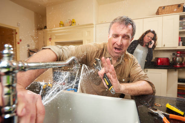Best Professional water damage repair  in West Modesto, CA